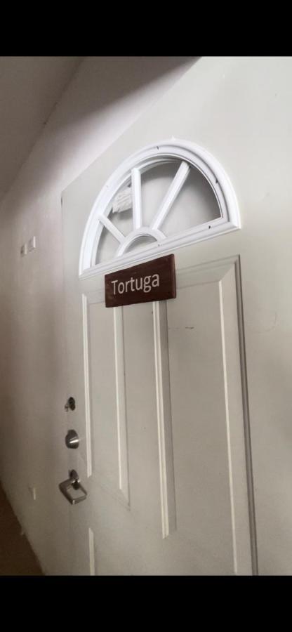 Habitacion Tortuga Casa Maria Bonita El Cuyo Exterior photo